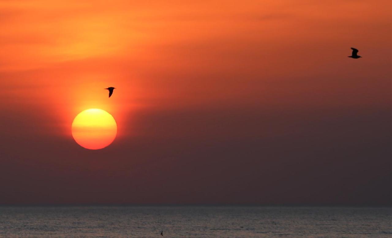 Vila Juras Krasti Idille Jurmalciems Exteriér fotografie